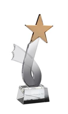 Engraved Optical Crystal Star Award